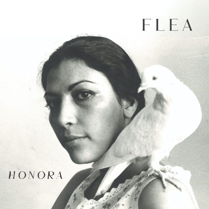 Flea Honora