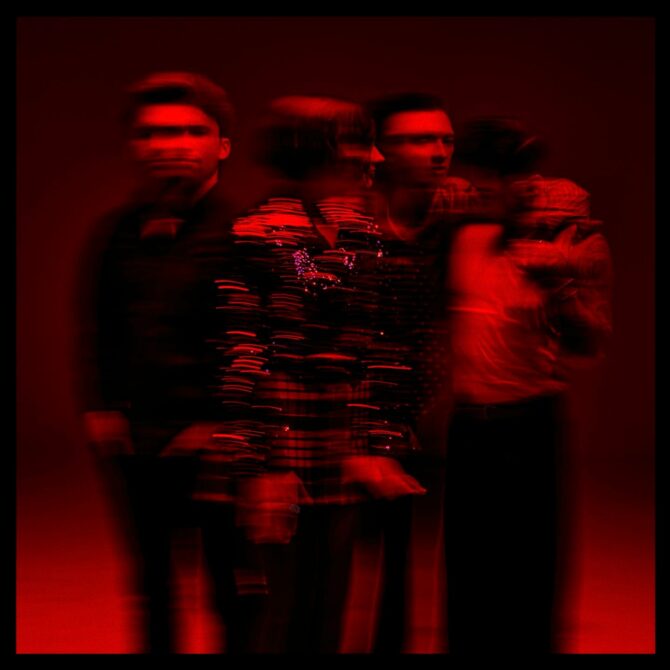 Marmozets CO.WAR.DICE