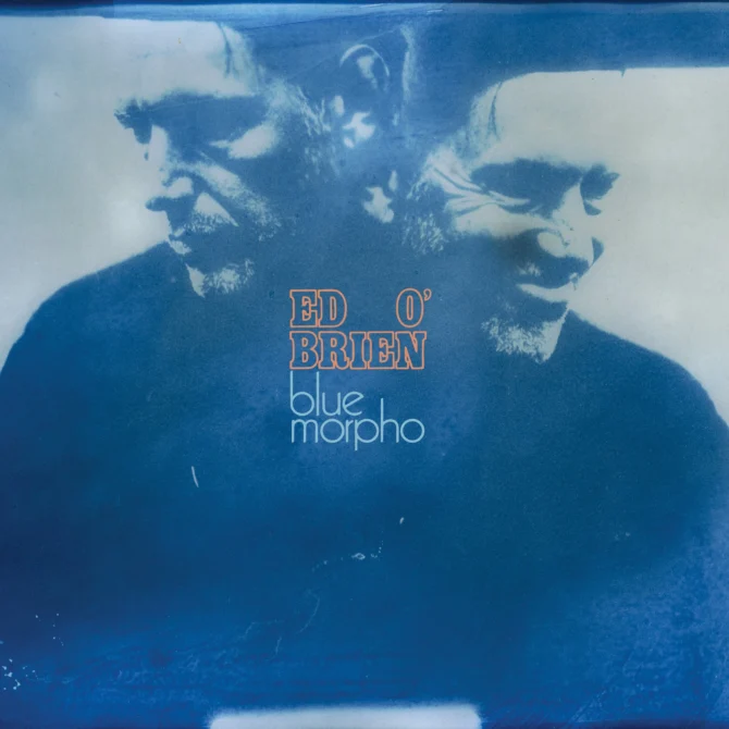 Ed O'Brien Blue Morpho