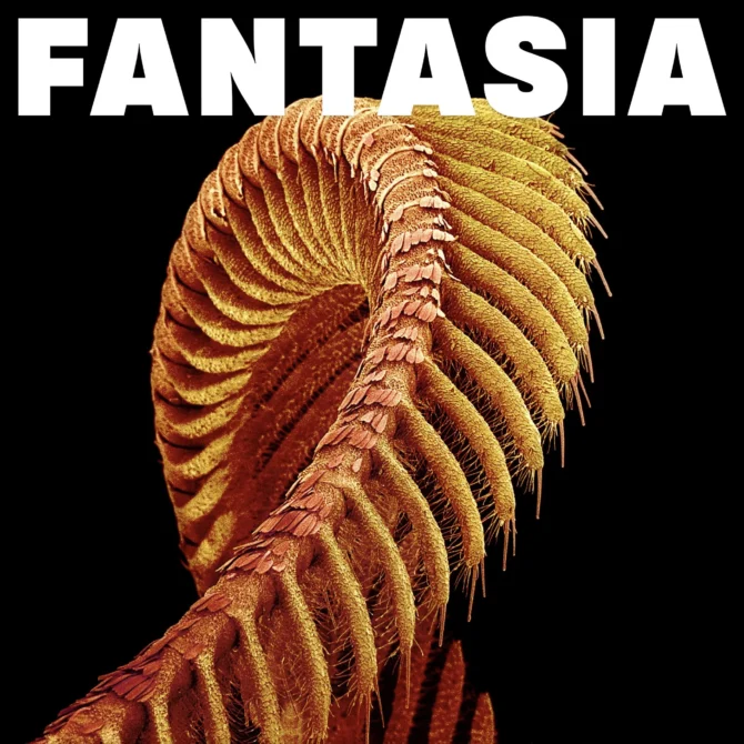 SLIFT Fantasia