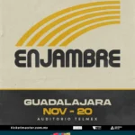 Enjambre_20nov