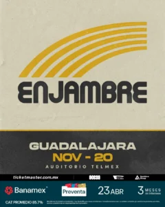 Enjambre – 20 noviembre
