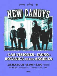 New Candys Guadalajara
