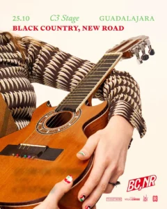 Black Country New Road Guadalajara