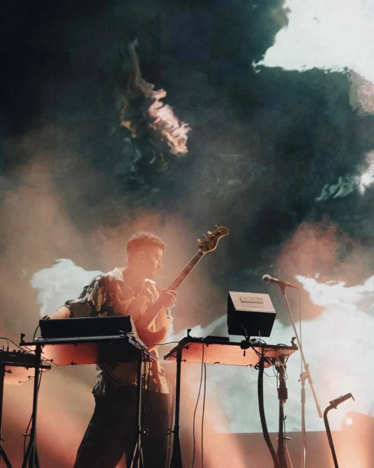 Bonobo