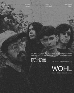 Wohl FORO ECHO)))