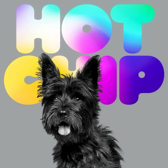 Hot Chip rinde tributo a JD Twitch en "Random violence" Hot Chip A Long Way From Home